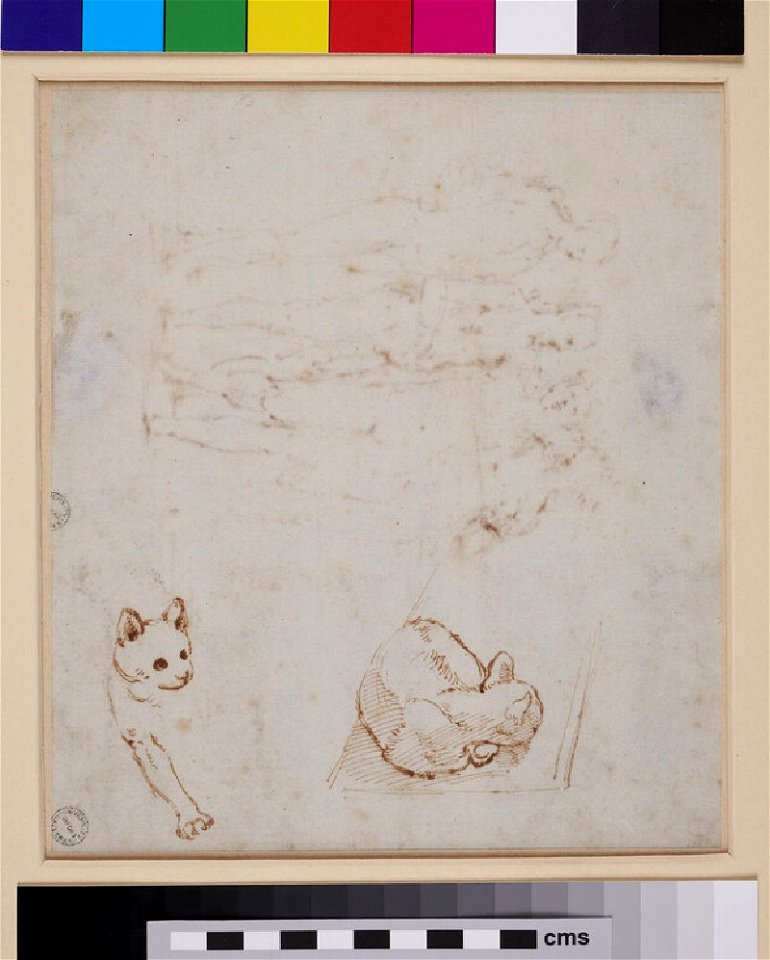 Raphael - follower of - Verso Two Studies of a Cat, WA1846.231