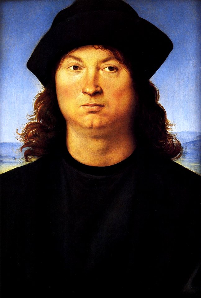 Raphael Portrait of a man cat14