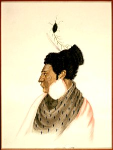 Rangihaeata, Rauparaha's fighting general, watercolour & gum arabic by Isaac Coates