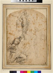 Raphael - after - Sheet of Studies after a detail from the School of Athens, WA1863.823