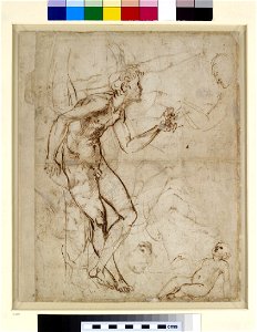 Raphael - Verso Adam tempted, WA1846.180