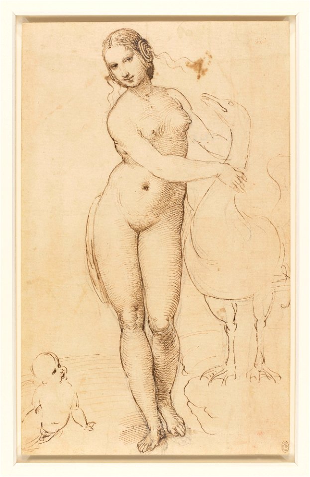 Raphael - Leda and the swan c.1507, RCIN 912759