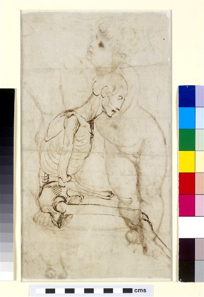 Raphael - Verso Study of a Skeleton, WA1855.91