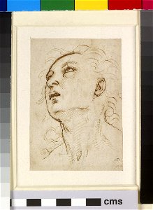 Raphael - Recto Head of a young Man gazing upwards, WA1846.156