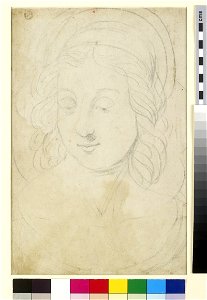 Raphael - Verso a female head, WA1846.151