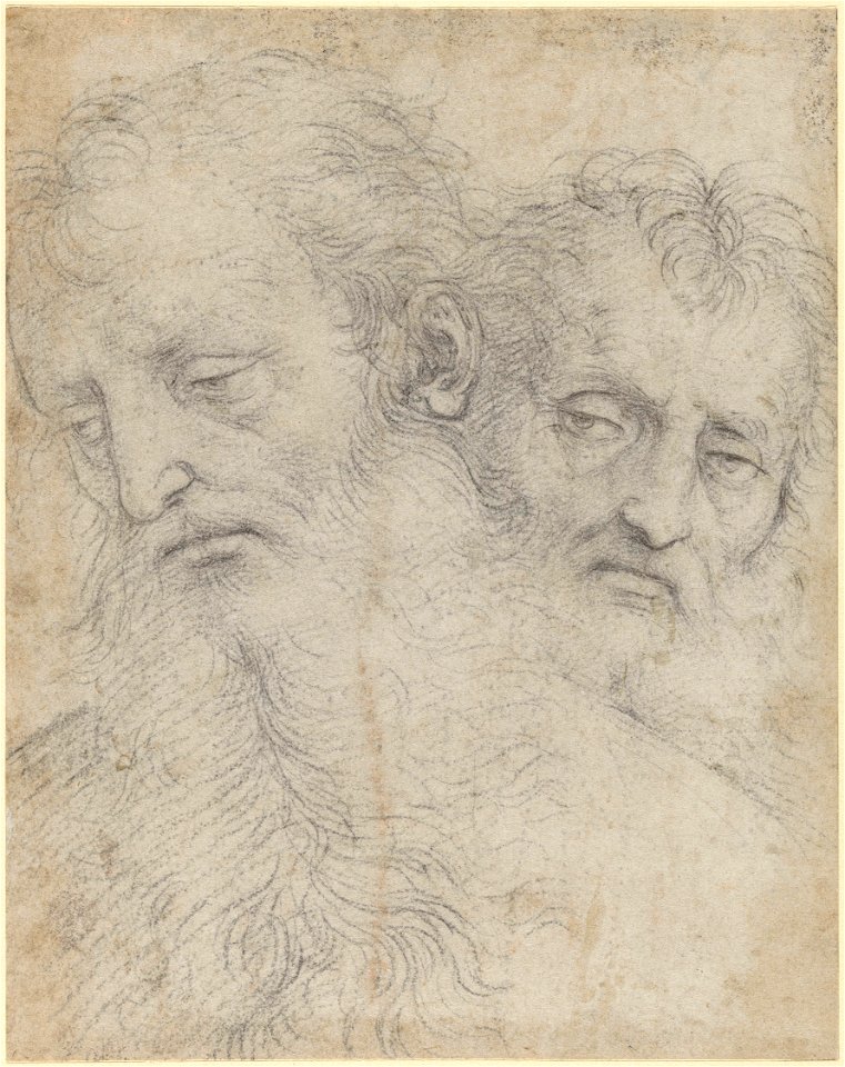 Raphael - The heads of two Apostles c.1503, RCIN 904370