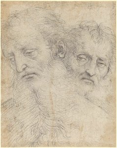 Raphael - The heads of two Apostles c.1503, RCIN 904370