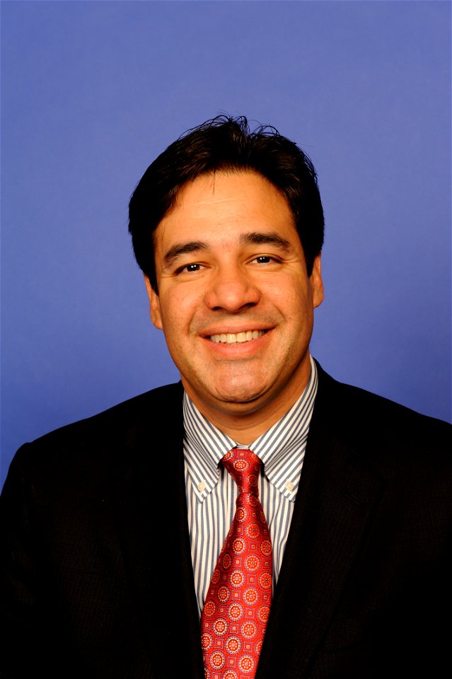 Raul Labrador 113th Congress