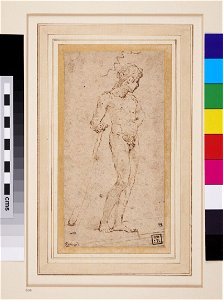 Raphael - follower of - Study of a nude Youth, WA1863.670