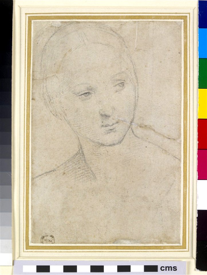 Raphael - Recto Study of the Head of a young Woman, WA1846.157