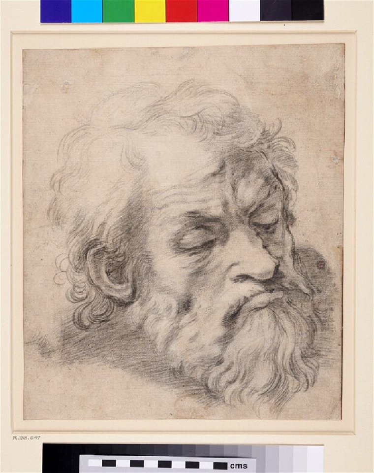 Raphael - after - The Head of an Apostle in the Transfiguration, WA1846.279