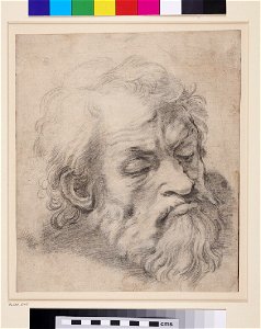 Raphael - after - The Head of an Apostle in the Transfiguration, WA1846.279