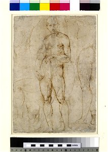 Raphael - Verso Nude Study for a St Paul, WA1846.163