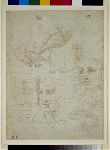 Raphael - Recto Two Heads and other Studies, WA1846.188