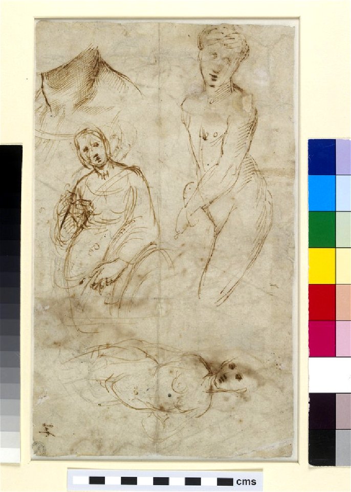 Raphael - Verso Various Studies, WA1846.177