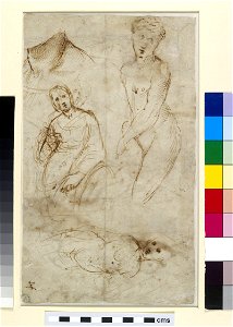 Raphael - Verso Various Studies, WA1846.177