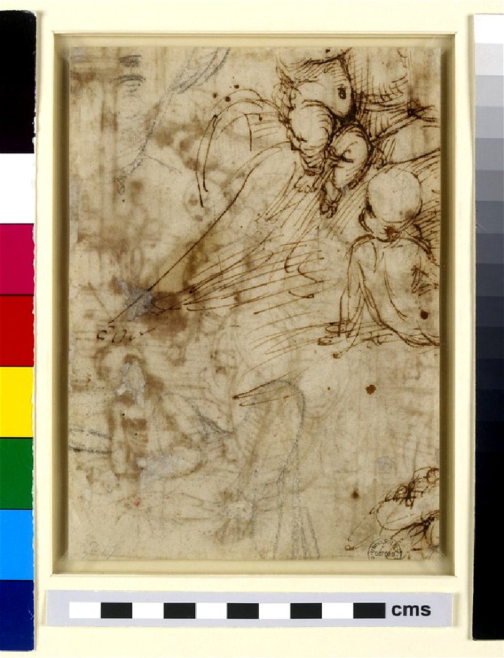 Raphael - Verso The Virgin, WA1846.162