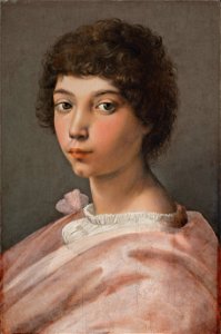 Raphael Portrait of a Young Man. Free illustration for personal and commercial use.