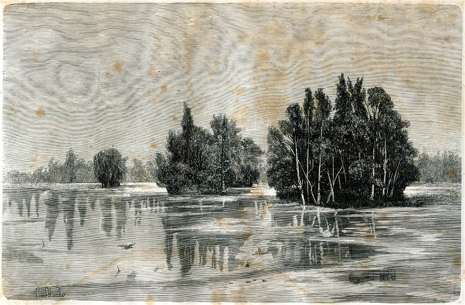 Razvodździe. Разводзьдзе (1882)