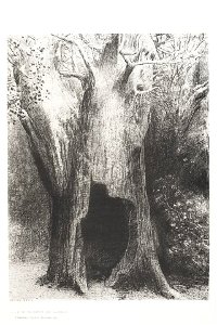 Redon - 'Je me suis enfoncé dans la solitude', 0485475