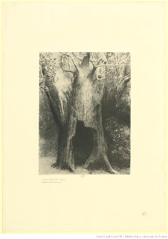 Redon - ... je me suis enfoncé dans la solitude. J'habitais l'arbre derrière moi, btv1b6951115b