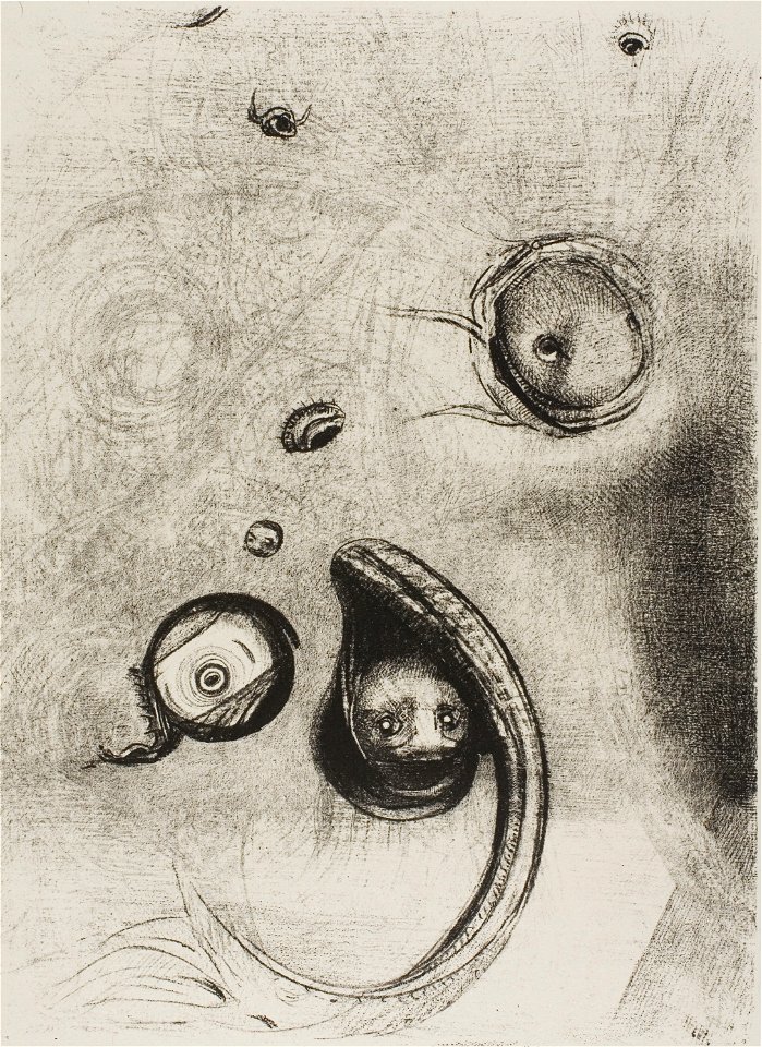 Redon - And that Eyes without Heads Were Floating Like Mollusks, plate 13 of 24, 1920.1769