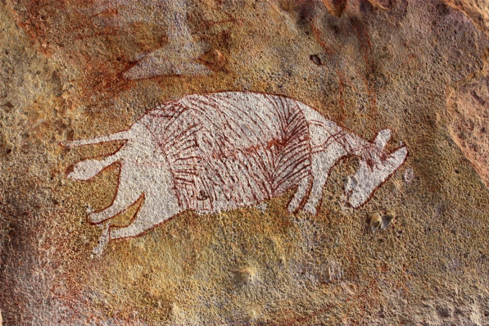 Red and white wallaby - Google Art Project