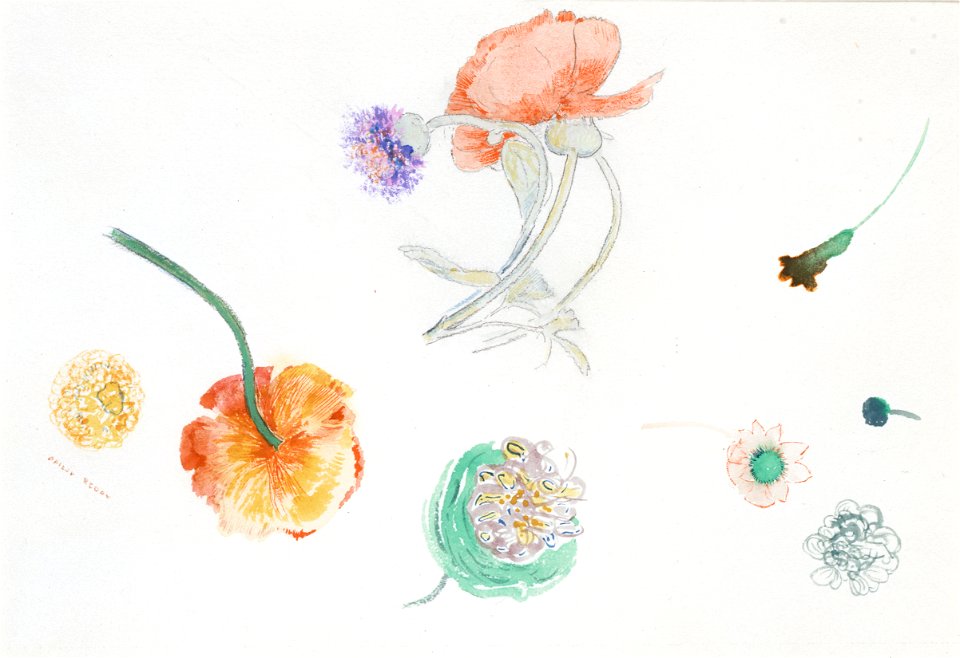 Redon - Croquis de fleurs, Entre 1910 et 1914