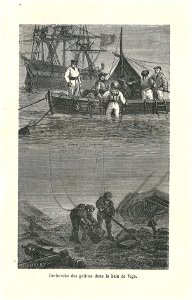 Recherche de galions dans la baie de Vigo-gravure