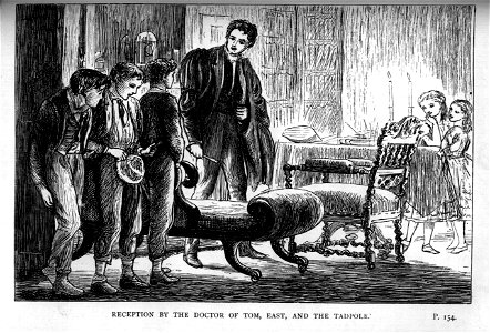 Reception by the Docter of Tom, East, and the Tadpole