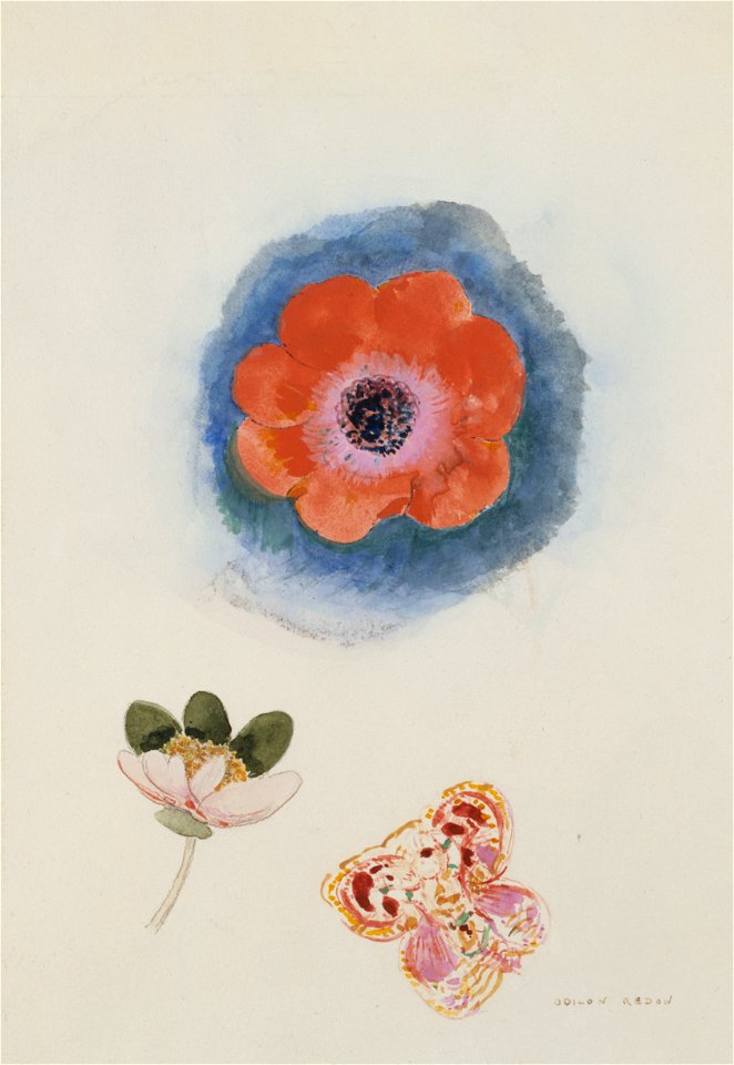Redon - Etude de fleurs, Entre 1910 et 1914