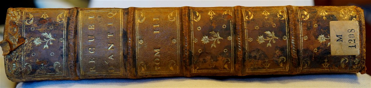 Recueil d'antiques 13429