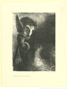 Redon - La CHIMERE regarda avec effroi toutes choses, btv1b6951024z