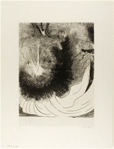 Redon - And There Fell a Great Star From Heaven, Burning as it Were a Lamp, plate 5 of 12, 1920.1841