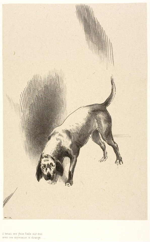 Redon - He (The Narrator’s Dog) Kept His Eyes Fixed on Me With a Look So Strange, plate 3 of 6, 1920.1808