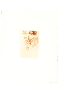 Redon - Croquis, 0181967