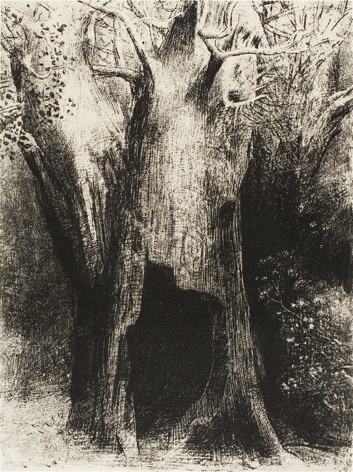 Redon - I Plunged into Solitude. I Dwelt in the Tree behind Me, plate 9 of 24, 1920.1757