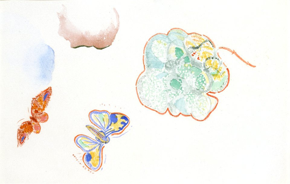 Redon - Feuille d'étude Deux papillons et une fleur, Entre 1910 et 1914