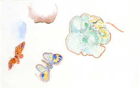 Redon - Feuille d'étude Deux papillons et une fleur, Entre 1910 et 1914