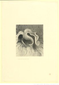 Redon - les bêtes de la mer rondes comme des outres, btv1b6951129c