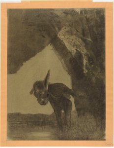 Redon - Bottom Gazing at his Reflection, 1881