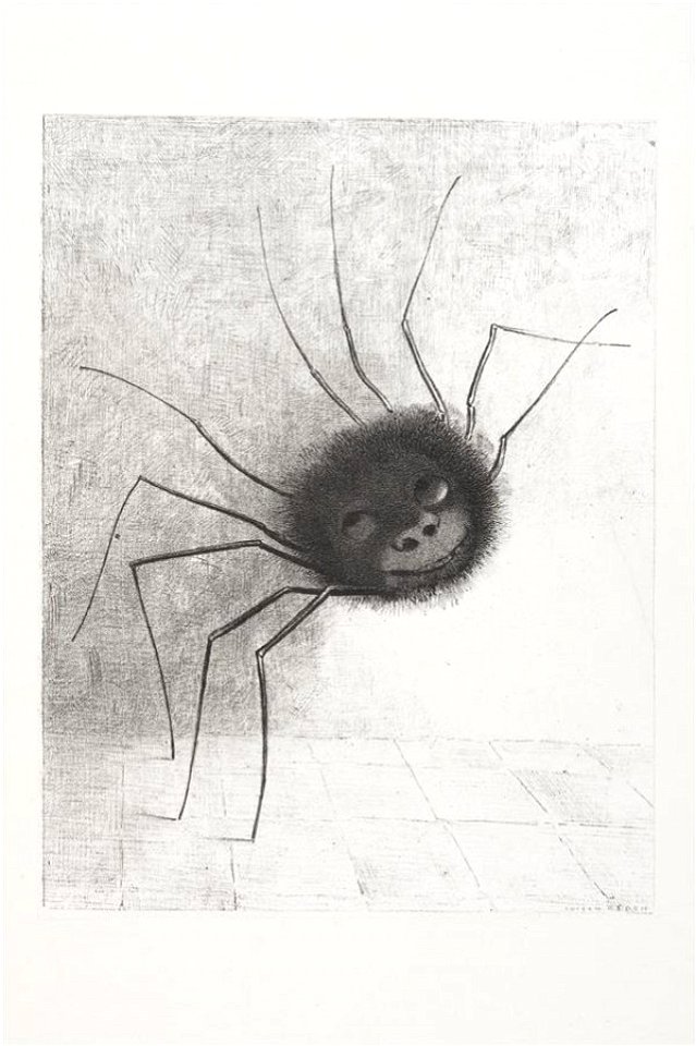 Redon - Araignée, 0485501