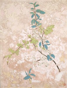Redon - Pear Blossoms, 1991.413