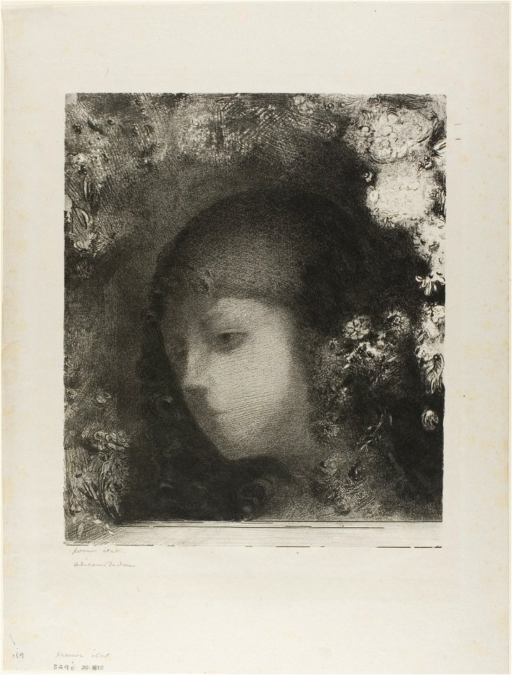 Redon - Child’s Head With Flowers, 1920.1820