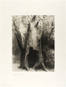 Redon - I Plunged into Solitude. I Dwelt in the Tree behind Me, plate 9 of 24, 1920.1758