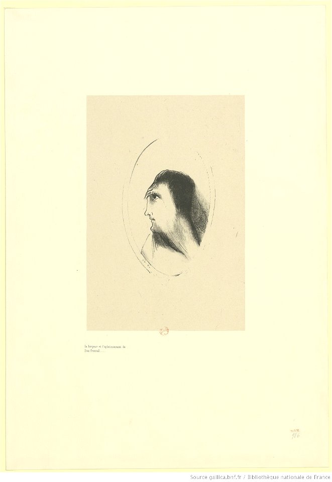 Redon - La largeur de l'aplatissement de l'os frontal, btv1b6951148q