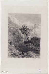 Redon - Arbres à l'entrée d'une gorge, Avant 1865