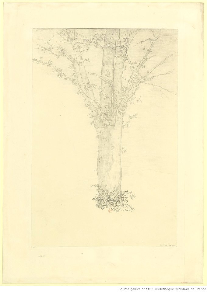 Redon - ARBRE, btv1b69510862