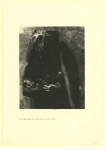 Redon - est le diable, portant sous ses deux ailes les sept péchés capitaux, btv1b6951047z