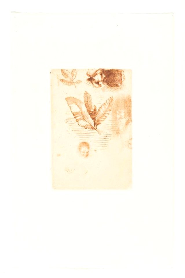 Redon - Croquis, 0182452